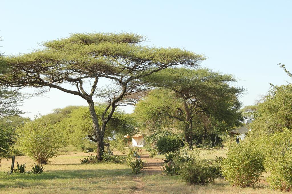 Mapito Tented Camp Serengeti Exterior foto